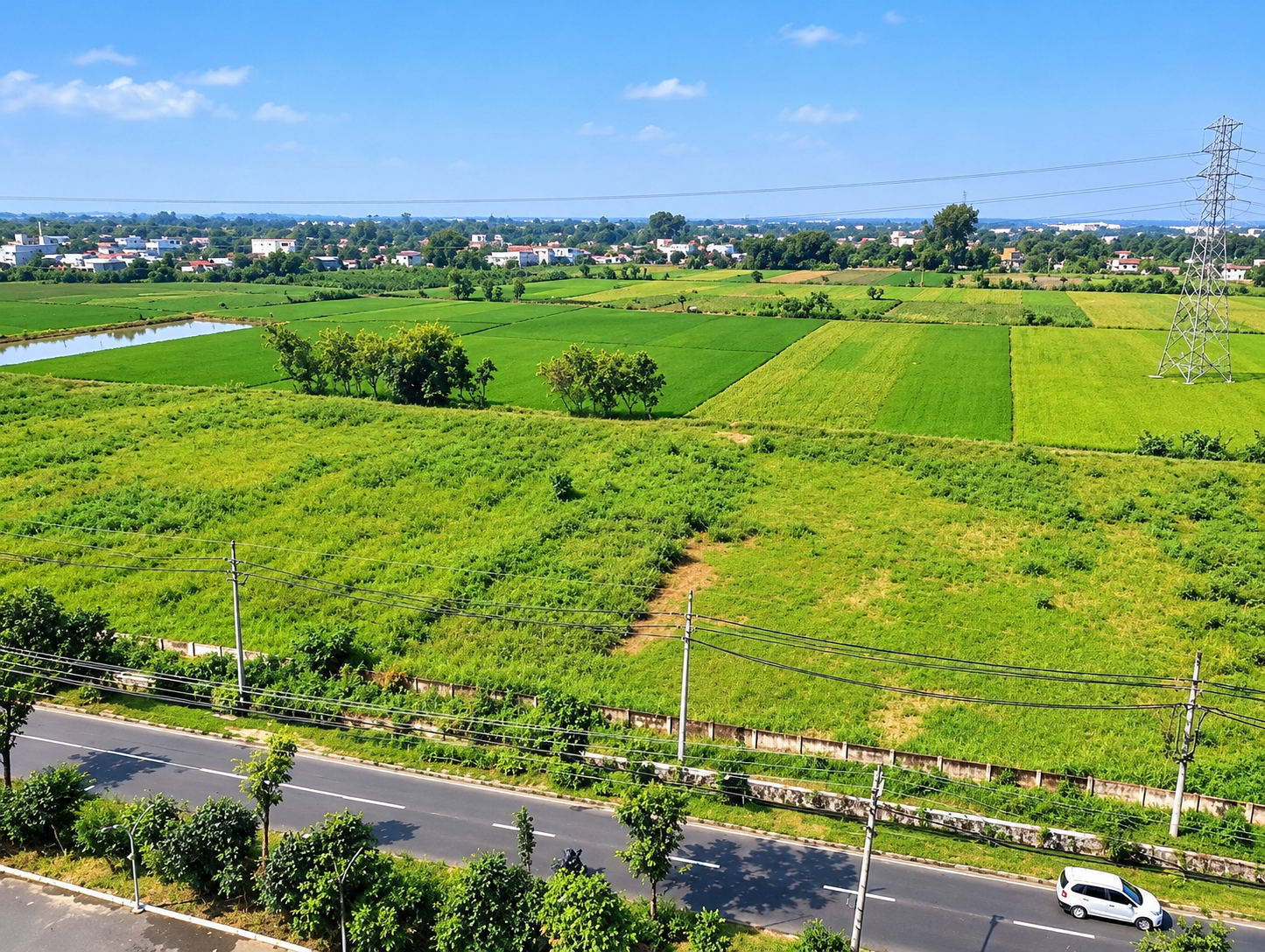 Agriculture Land