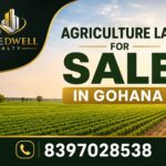 How to Buy the Best Agricultural Land for Sale in Gohana Without Hidden Risks
