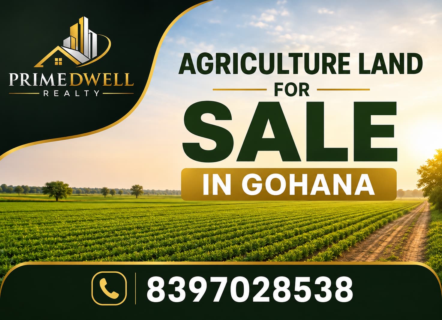 How to Buy the Best Agricultural Land for Sale in Gohana Without Hidden Risks