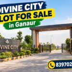 Where to Buy Residential Plots in Ganaur? Why Divine City Tops the List